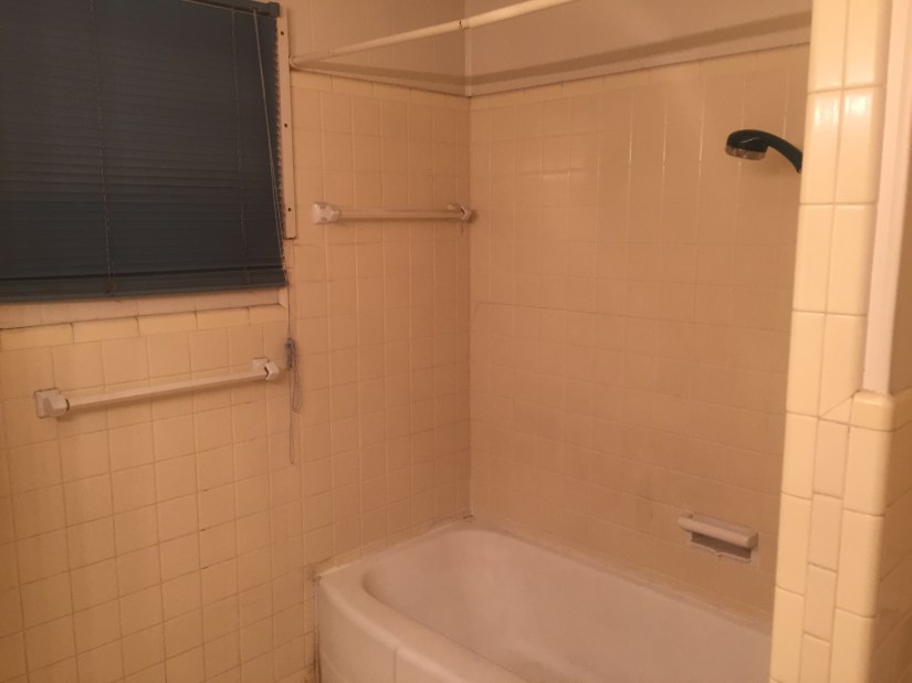 Before - guest bathroom shower