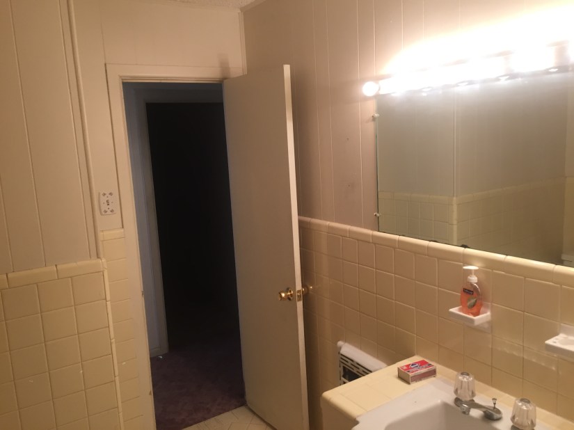 Before - guest bathroom