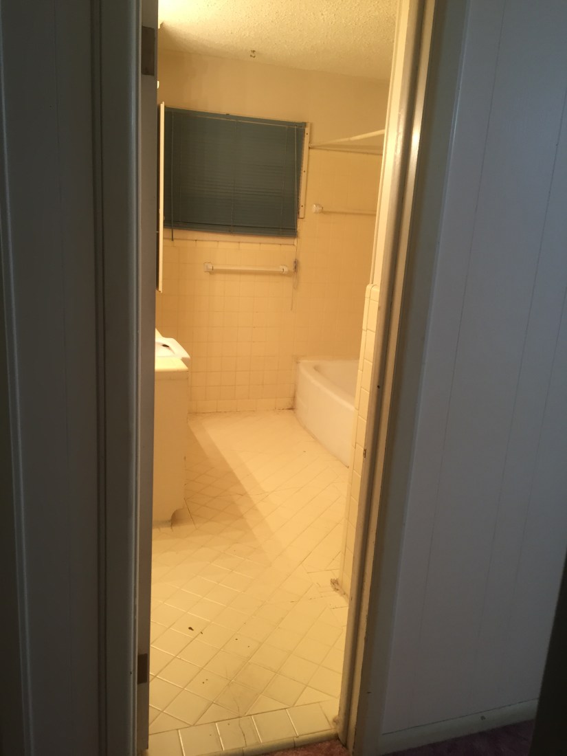 Before - guest bathroom(1)