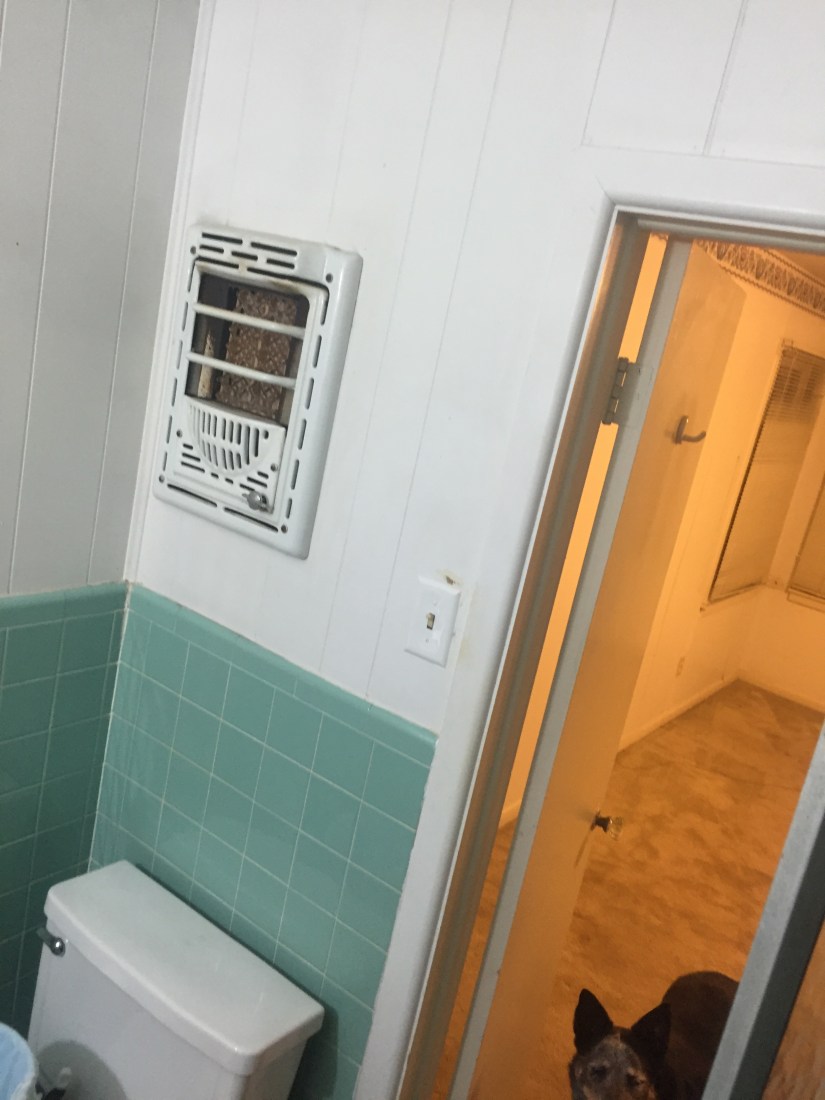 Before - master bathroom with heater