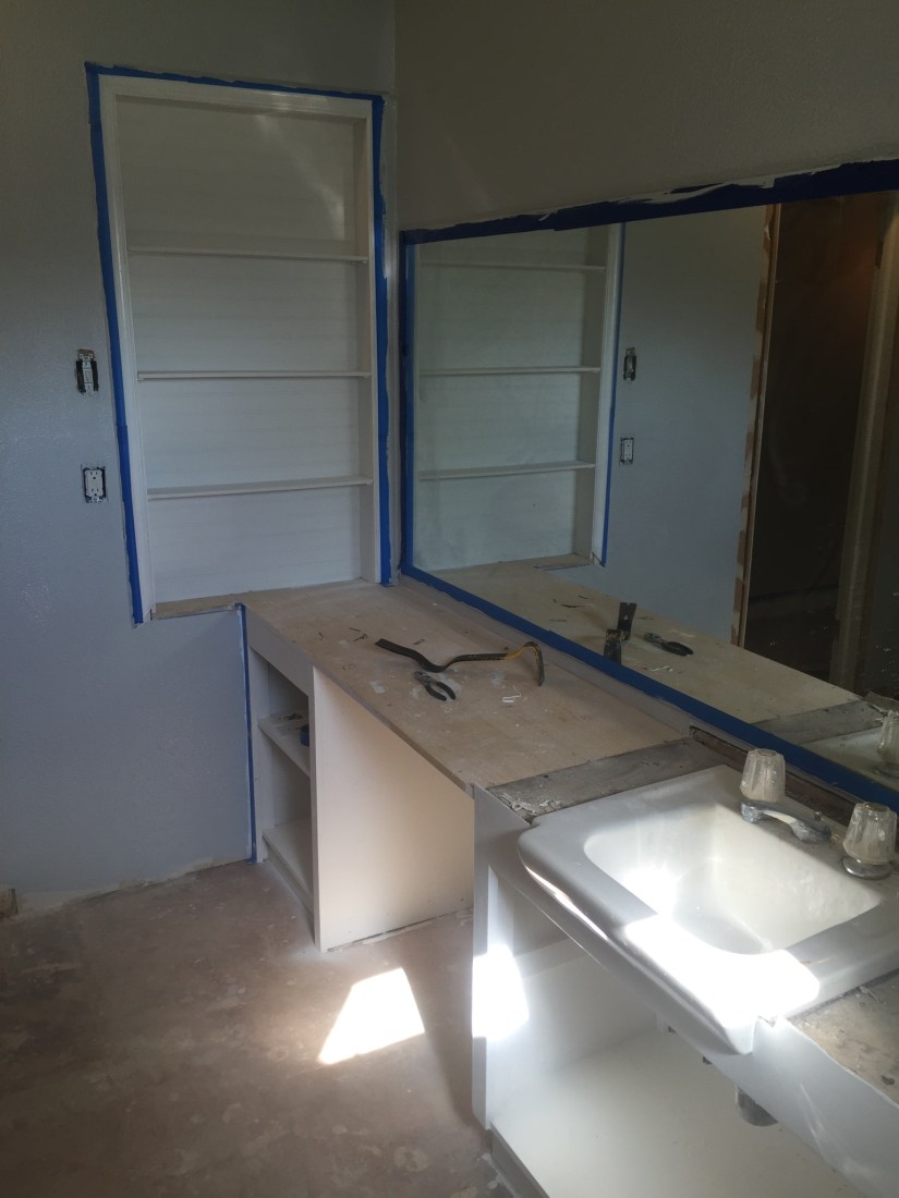 During - guest bathroom(1)