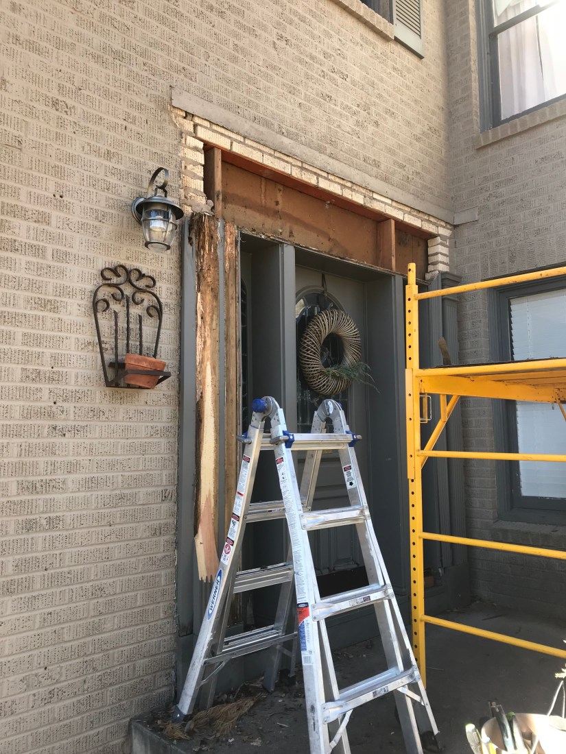 20190123_192140175_iOS