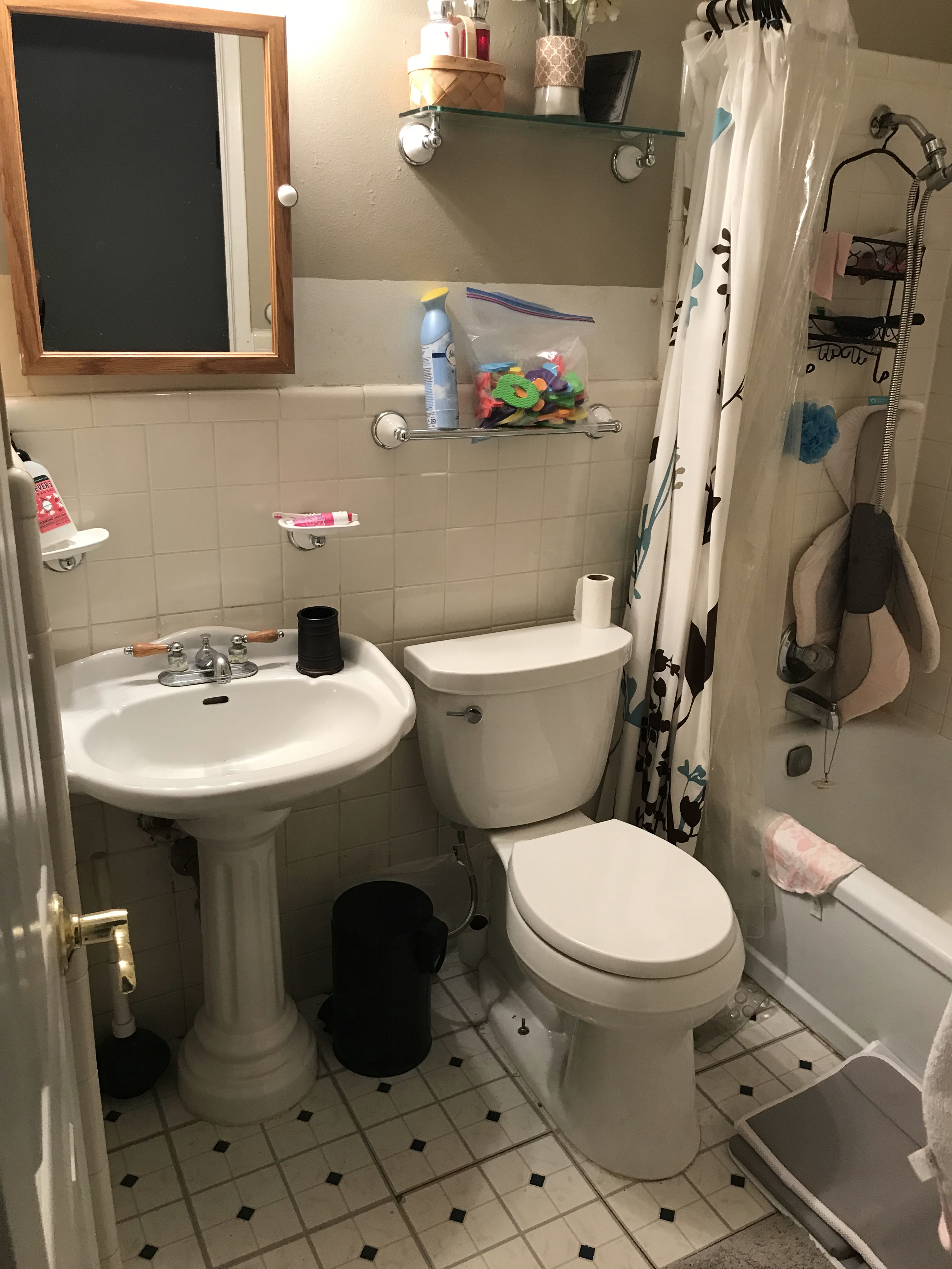 hall bathroom full before